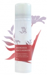 AEROSOL-ANTIHONGOS 